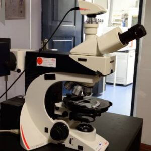 microescopia optica